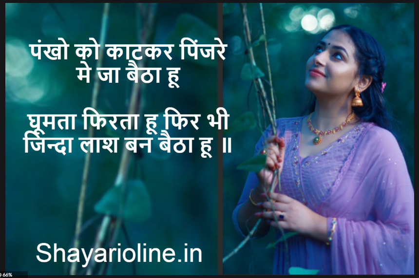 pankh status shayari