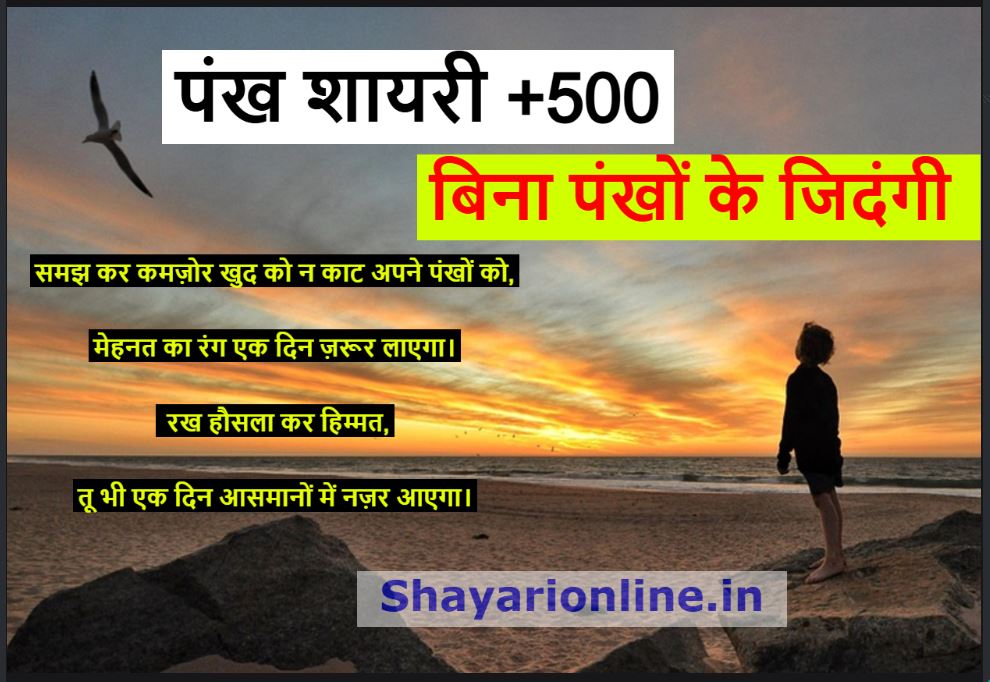 पंख शायरी