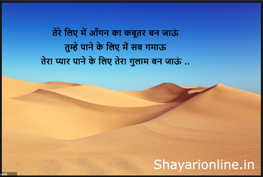 kabutari shayari