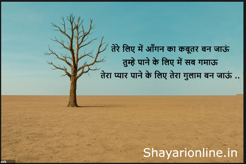 kabootar par shayari