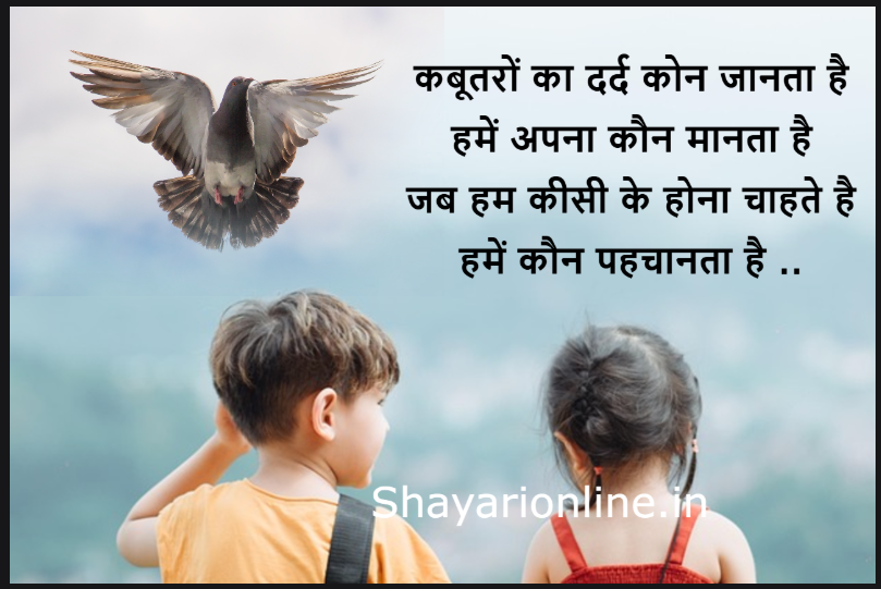 kabootar wali shayari