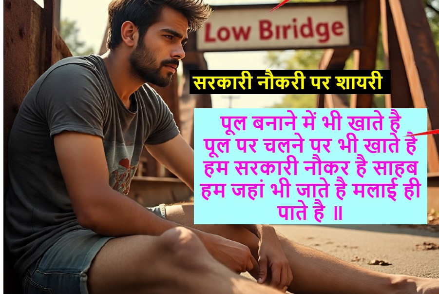 सरकारी नौकरी शायरी